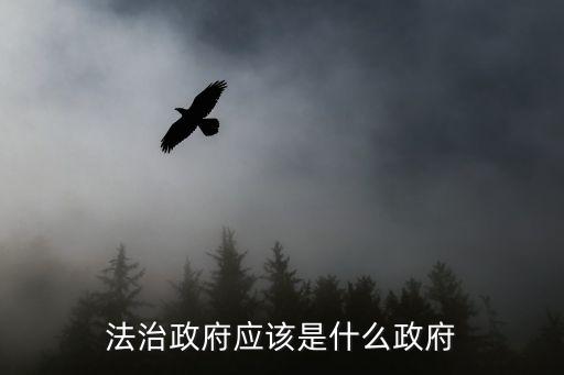什么是依法治國，我國實行依法治國的主體是什么