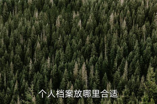 個(gè)人檔案放哪里合適