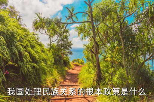 我國的民族關(guān)系，我國我國民族關(guān)系是基本形成還是已經(jīng)形成