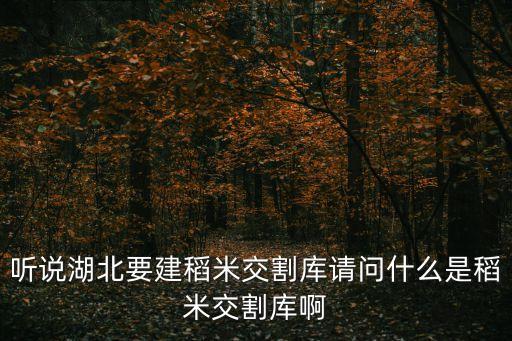 聽說湖北要建稻米交割庫請(qǐng)問什么是稻米交割庫啊