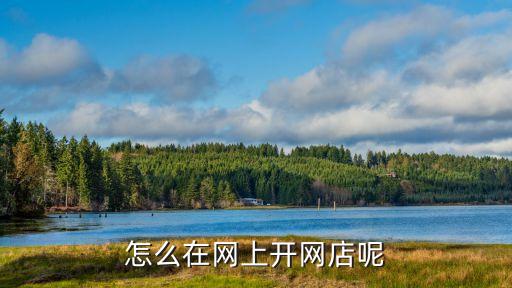 怎么在網(wǎng)上開網(wǎng)店呢