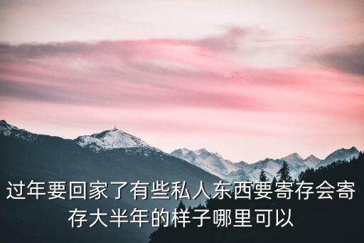 過(guò)年要回家了有些私人東西要寄存會(huì)寄存大半年的樣子哪里可以