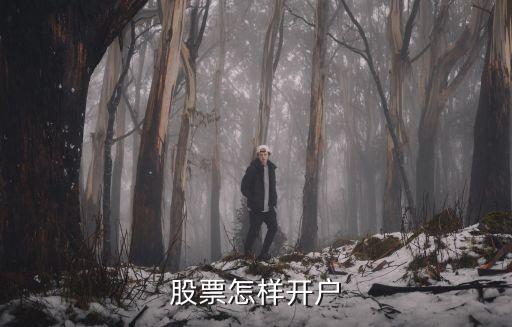股票開戶，昆明股票免費(fèi)開戶炒股免費(fèi)開戶