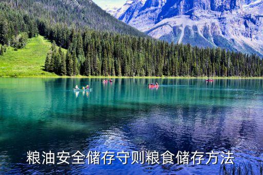 糧油儲(chǔ)藏技術(shù)規(guī)范，現(xiàn)代糧食儲(chǔ)藏中主要應(yīng)用哪些技術(shù)