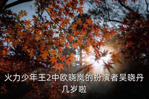 火力少年王2中歐曉嵐的扮演者吳曉丹幾歲啦