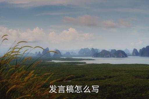 言講稿，發(fā)言稿怎么寫