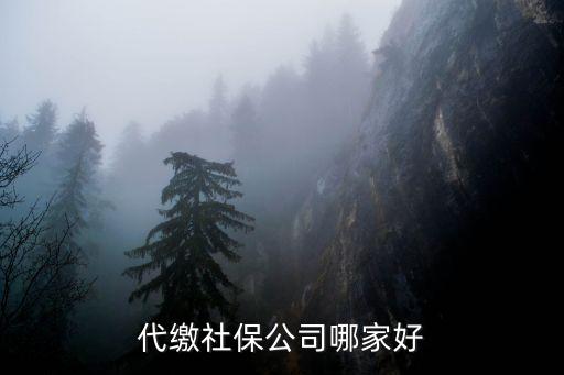 代繳社保公司哪家好，找哪個機(jī)構(gòu)代繳社保比較好