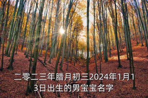 二零二三年臘月初三2024年1月13日出生的男寶寶名字