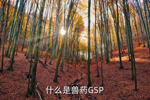 獸藥gsp，我想知道什么是獸藥GSP認(rèn)證想認(rèn)證需要哪些項目和材料