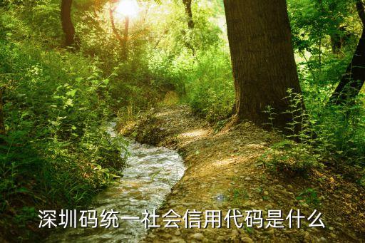 社會(huì)統(tǒng)一代碼，深圳碼統(tǒng)一社會(huì)信用代碼是什么