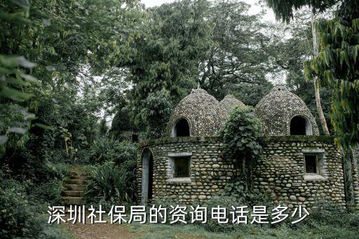 深圳醫(yī)保電話，深圳社保局的資詢電話是多少