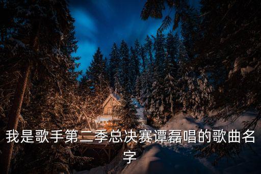 我是歌手第二季總決賽譚磊唱的歌曲名字