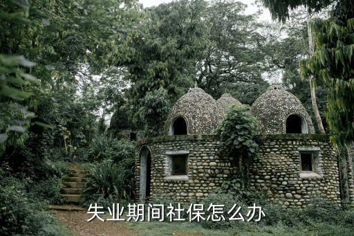 失業(yè)了社保怎么辦，失業(yè)期間社保怎么辦