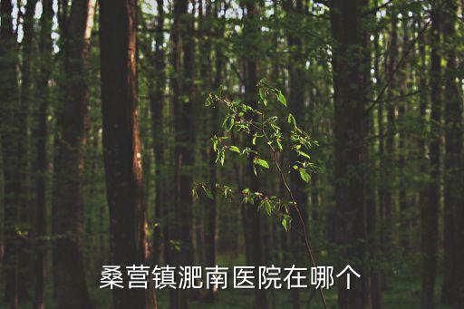桑營鎮(zhèn)淝南醫(yī)院在哪個