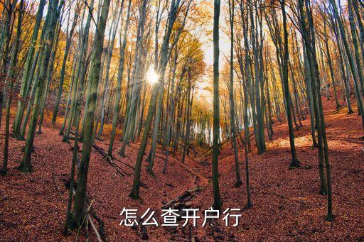 開戶行號怎么查，如何查開戶行
