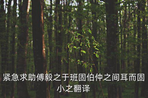 緊急求助傅毅之于班固伯仲之間耳而固小之翻譯