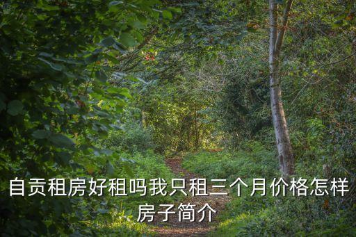 自貢租房，自貢的租房中介在哪兒或者說(shuō)在哪兒租房便宜