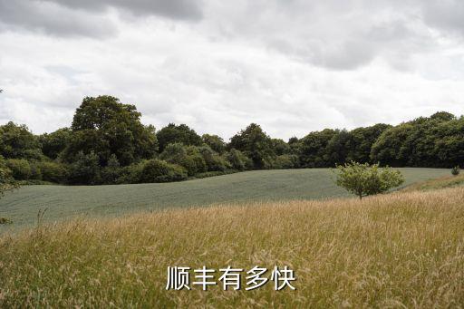 順豐快遞有多快，順豐快遞速度有多快