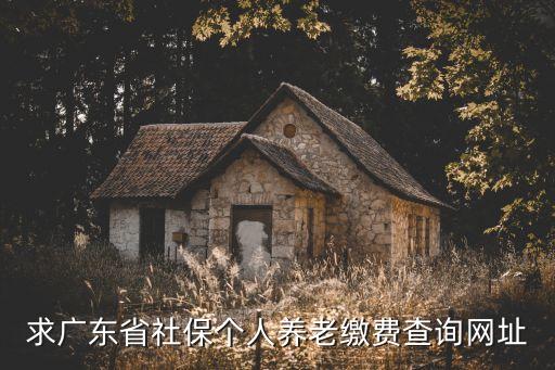 求廣東省社保個人養(yǎng)老繳費查詢網(wǎng)址