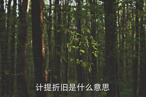 計提折舊是什么意思