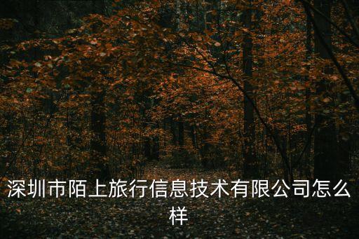 深圳市陌上旅行信息技術(shù)有限公司怎么樣
