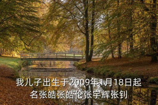 張皓，我兒子出生于2009年1月18日起名張皓張皓倫張宇輝張釗