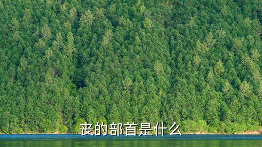 喪的結(jié)構(gòu)，喪的部首是什么