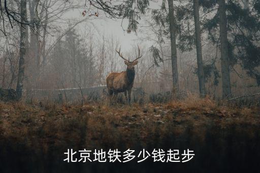 北京地鐵起步價(jià)，現(xiàn)在北京地鐵票價(jià)多少錢(qián)