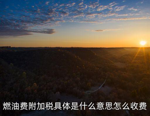燃油附加稅，什麼是燃油附加費(fèi)