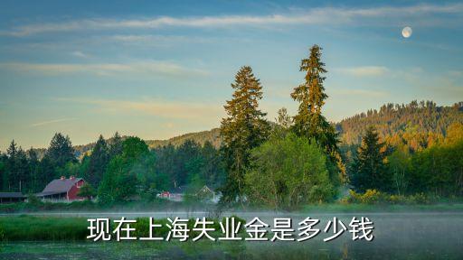 上海失業(yè)金，上海失業(yè)救濟(jì)金是多少