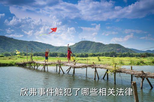 欣弗事件觸犯了哪些相關(guān)法律