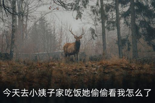 奸小姨子，今天去小姨子家吃飯她偷偷看我怎么了