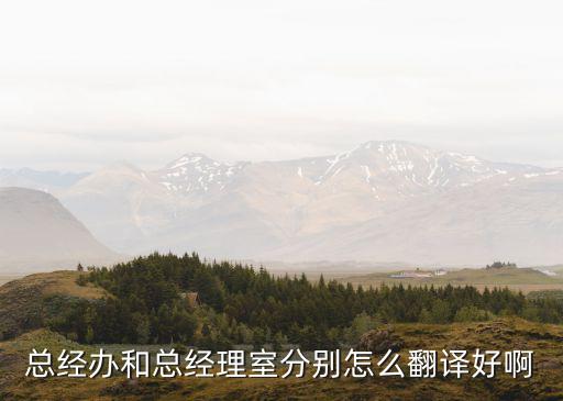 總經(jīng)辦，總經(jīng)辦和總經(jīng)理室分別怎么翻譯好啊