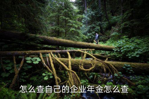 企業(yè)年金查詢在哪查，怎么查自己的企業(yè)年金怎么查
