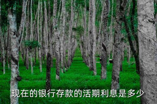 銀行活期利息，銀行活期存款利息怎么算