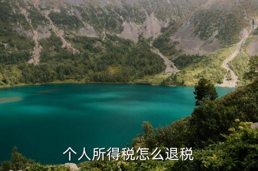 退個(gè)人所得稅，個(gè)人所得稅怎么退稅