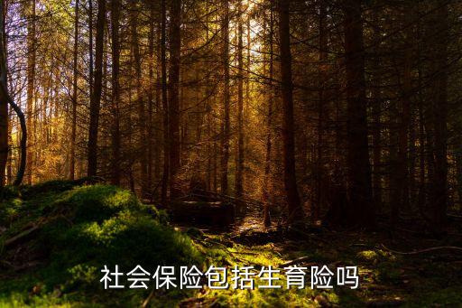 社保包含生育險(xiǎn)嗎，請問生育保險(xiǎn)是屬于社保的嗎