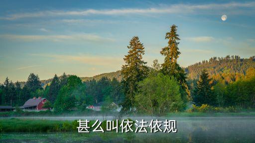 依法依規(guī)，依法按規(guī)是什么意思