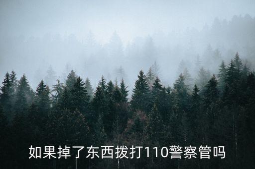 如果掉了東西撥打110警察管嗎