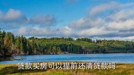 貸款買(mǎi)房可以提前還清貸款嗎