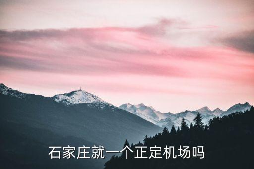 石家莊就一個正定機場嗎