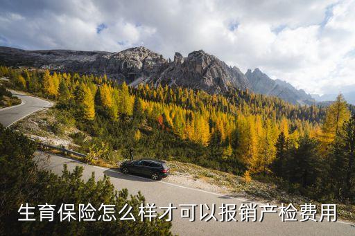 生育保險怎么樣才可以報銷產(chǎn)檢費用