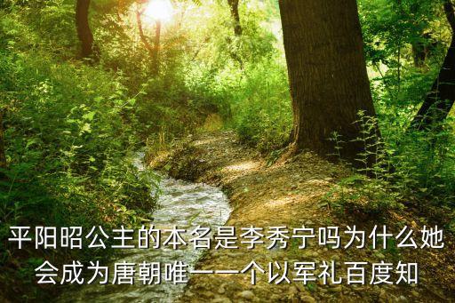 平陽昭公主的本名是李秀寧嗎為什么她會成為唐朝唯一一個以軍禮百度知