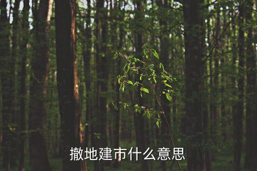 撤地建市什么意思