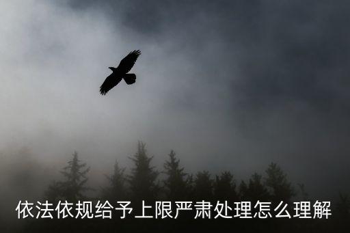 依法依規(guī)給予上限嚴(yán)肅處理怎么理解