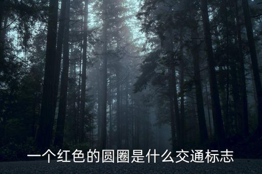 一個(gè)紅色的圓圈是什么交通標(biāo)志