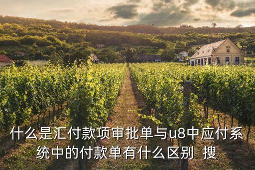 付款審批單，付款審批單是否可以代替支票領(lǐng)用單