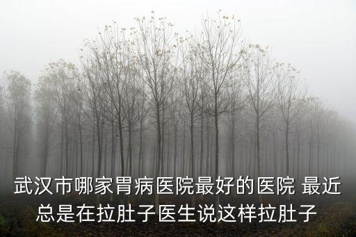 武漢市哪家胃病醫(yī)院最好的醫(yī)院 最近總是在拉肚子醫(yī)生說這樣拉肚子