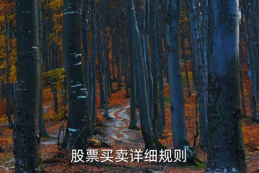 股票買入賣出規(guī)則，股票買賣詳細(xì)規(guī)則