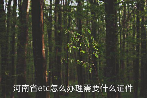 河南省etc怎么辦理需要什么證件